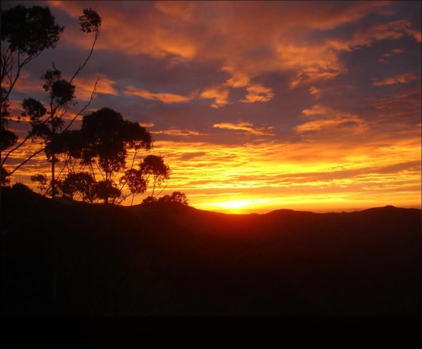 Galería Zothaña - fb-img-1753984381459-20251022-020238-ff23b0.jpg